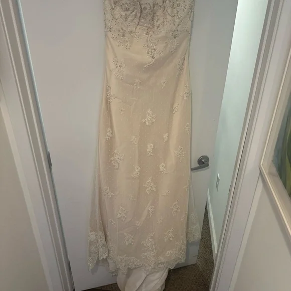 Pronovias | Dresses | Pronovia Coral Gables Wedding Dress Never Used And  Shoes 85 | Poshmark